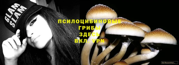 ALPHA PVP Алексеевка