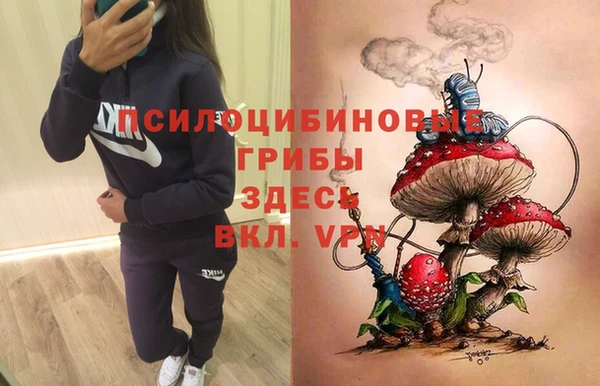 тгк Алзамай