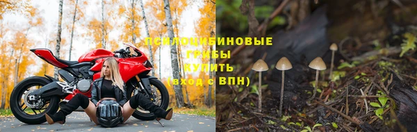 тгк Алзамай